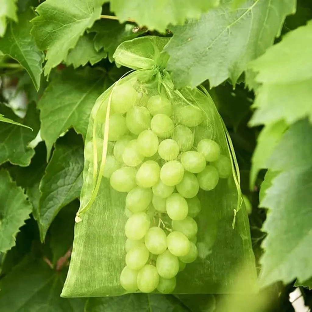 50Pcs Fruit Protection Bag Pest Contro Plants Anti-Bird Mesh Bags Grow Gardening Strawberry Grape Drawstring Bags Mesh Pouch(Army Green 50PCS,10cm x 15cm)