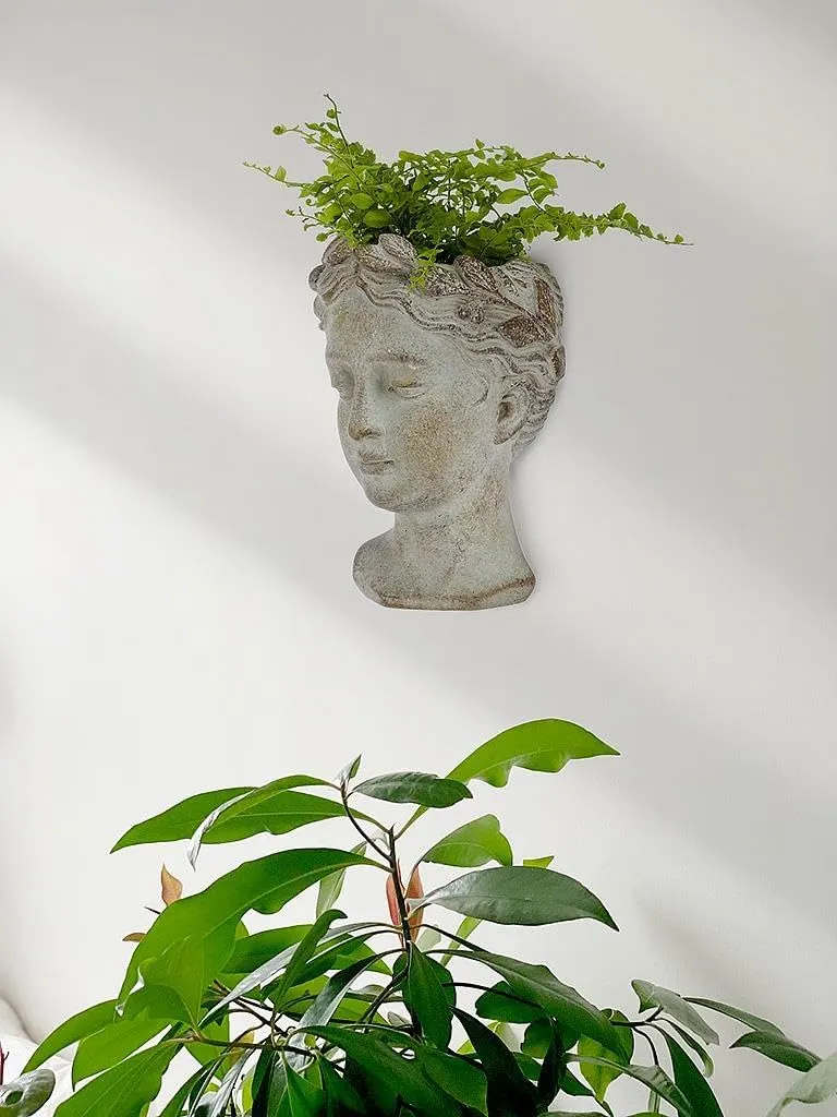 Abbott Collection Goddess Head Wall Planter - Small Cement Indoor and Outdoor Planter Pot - Grecian Woman Statue Head Planter for Flowers and Succulents (Grey, 3" Opening)