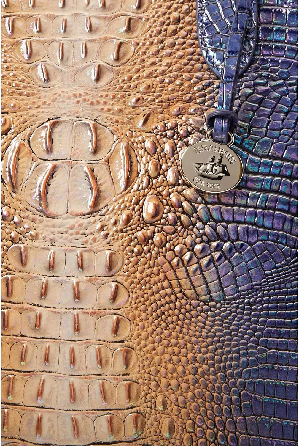 BRAHMIN Ombre Mini Melbourne Caroline Satchel