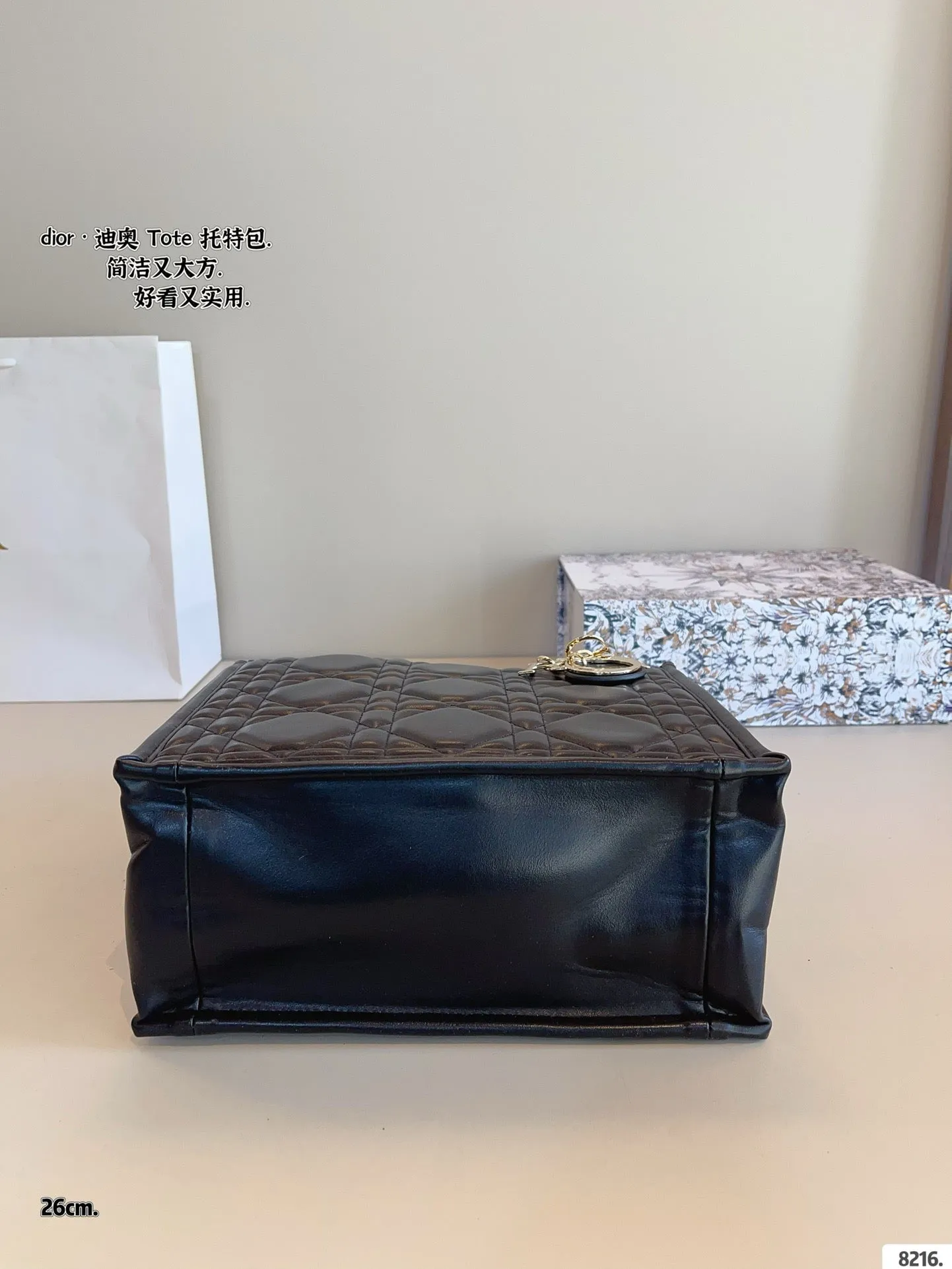 DR496 Small/Medium Dior Book Tote