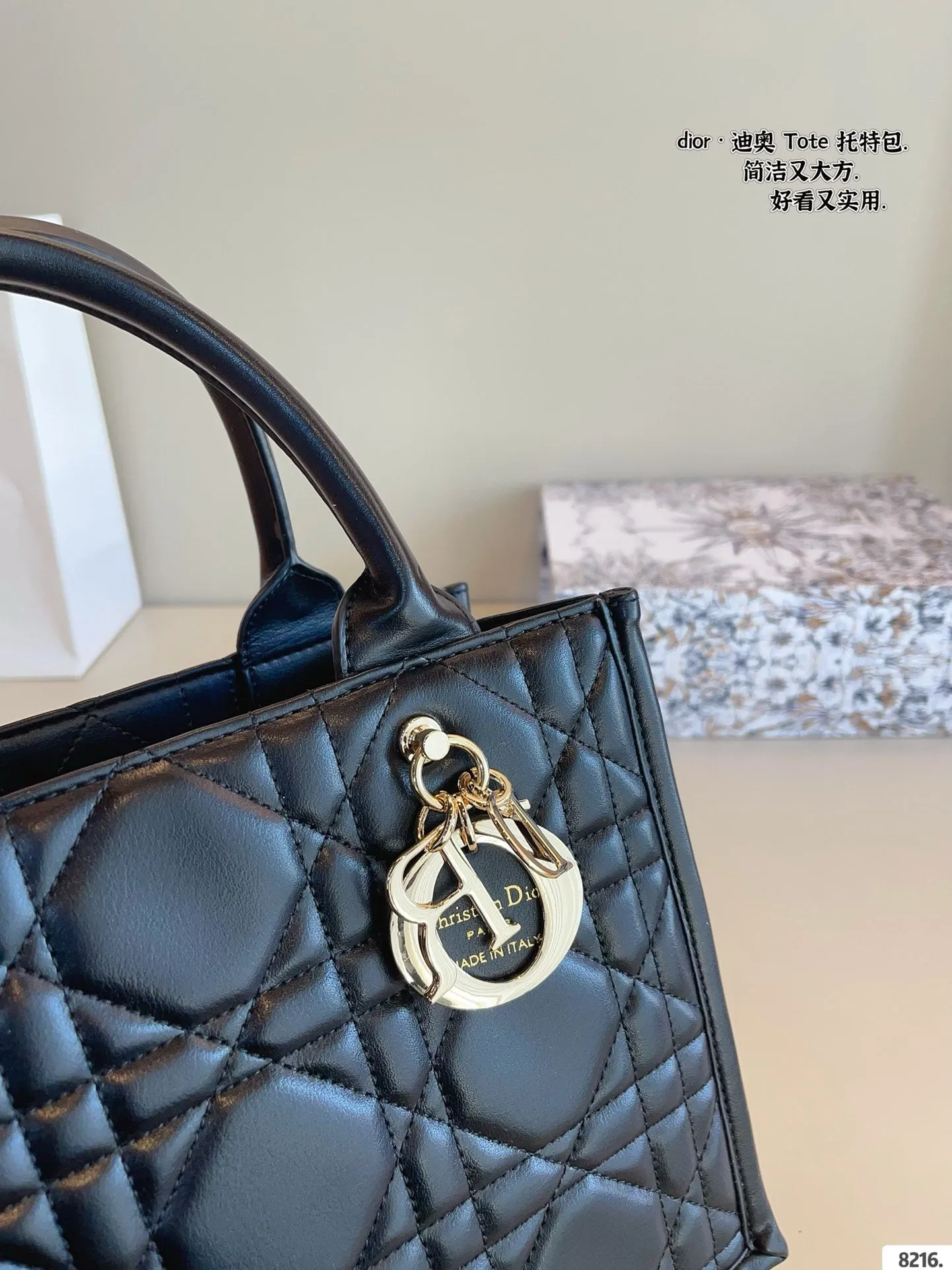 DR496 Small/Medium Dior Book Tote