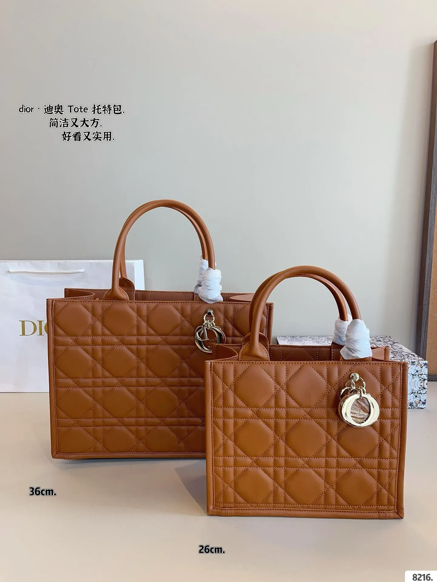 DR496 Small/Medium Dior Book Tote