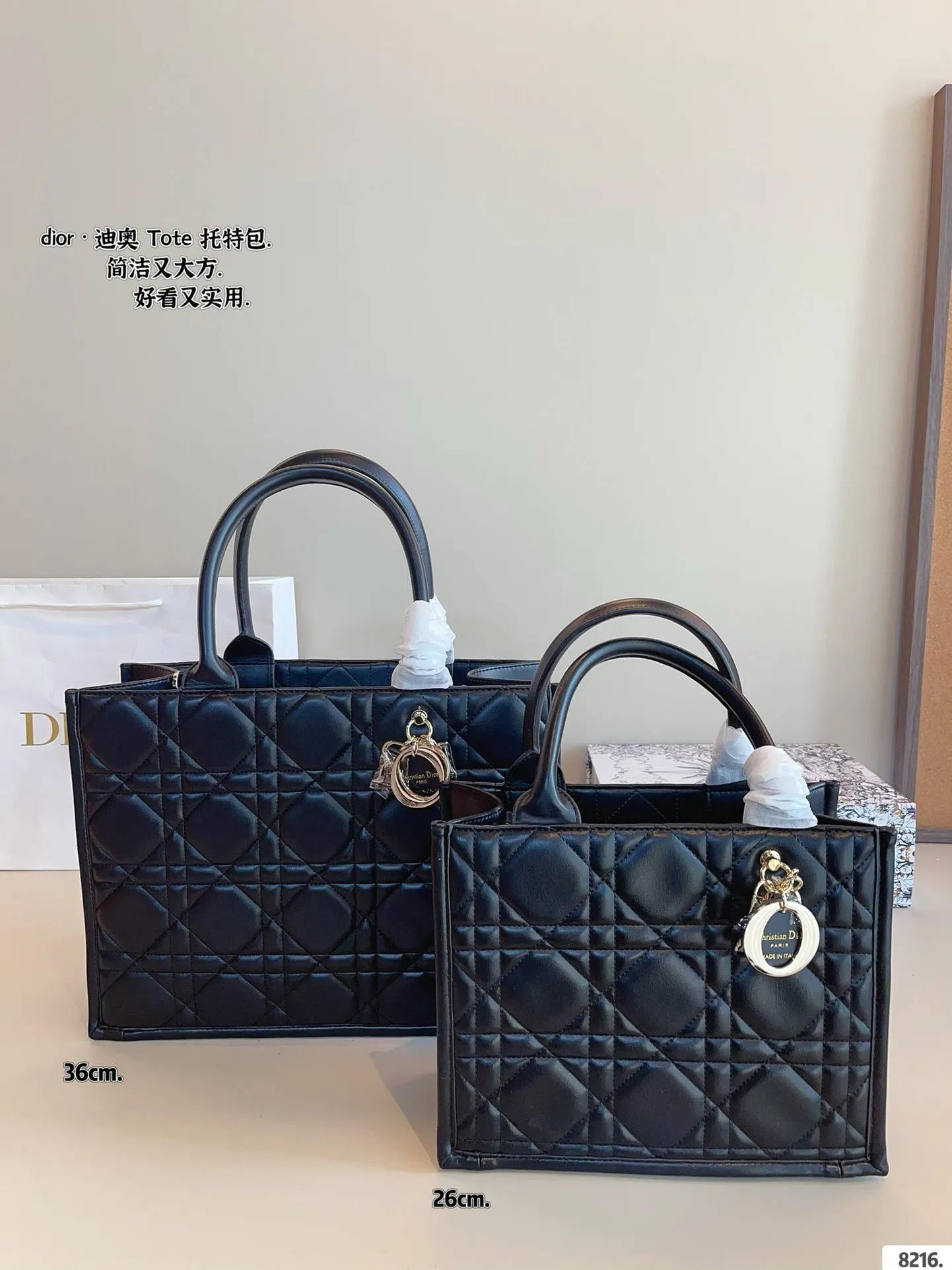 DR496 Small/Medium Dior Book Tote