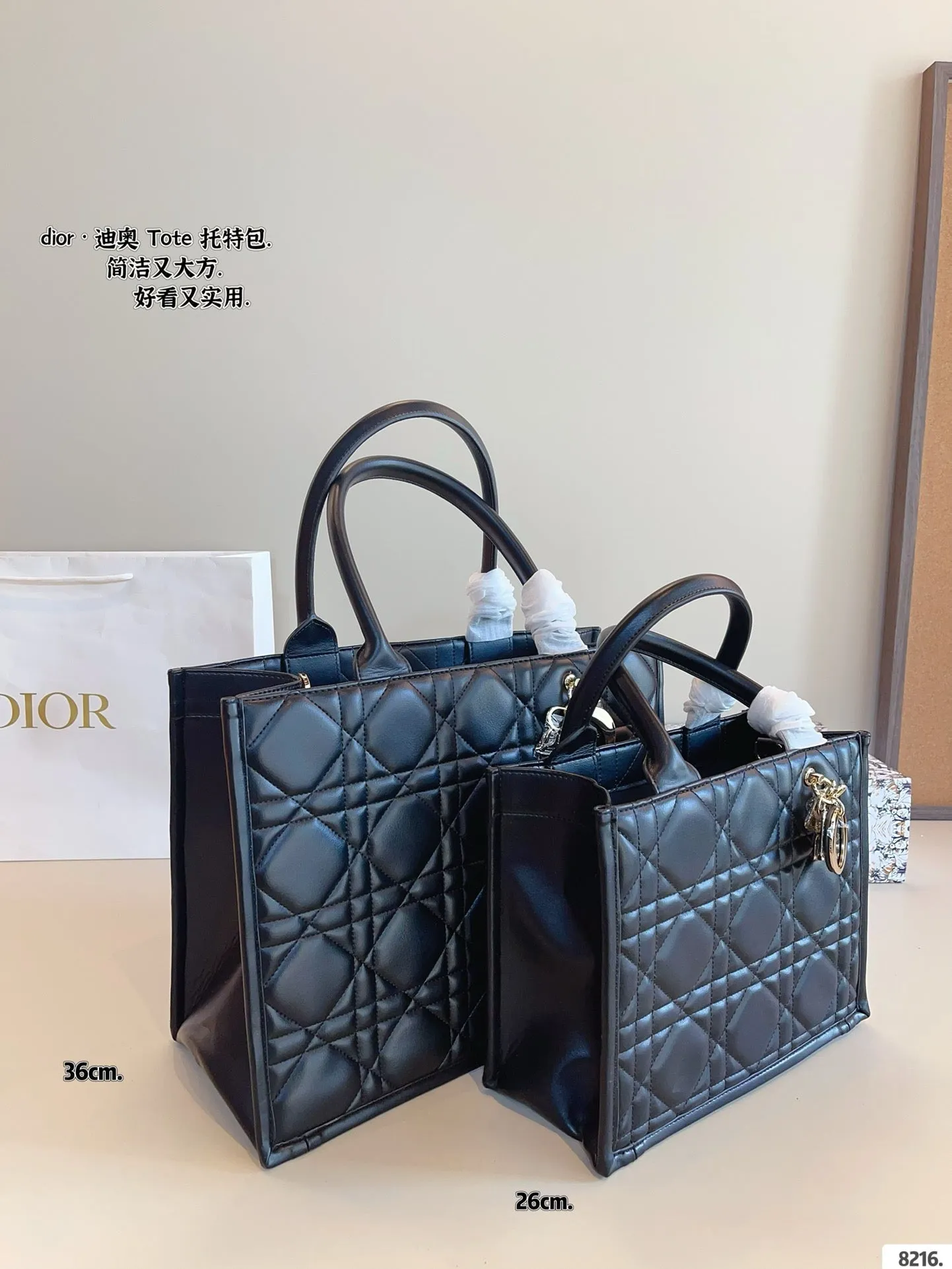 DR496 Small/Medium Dior Book Tote