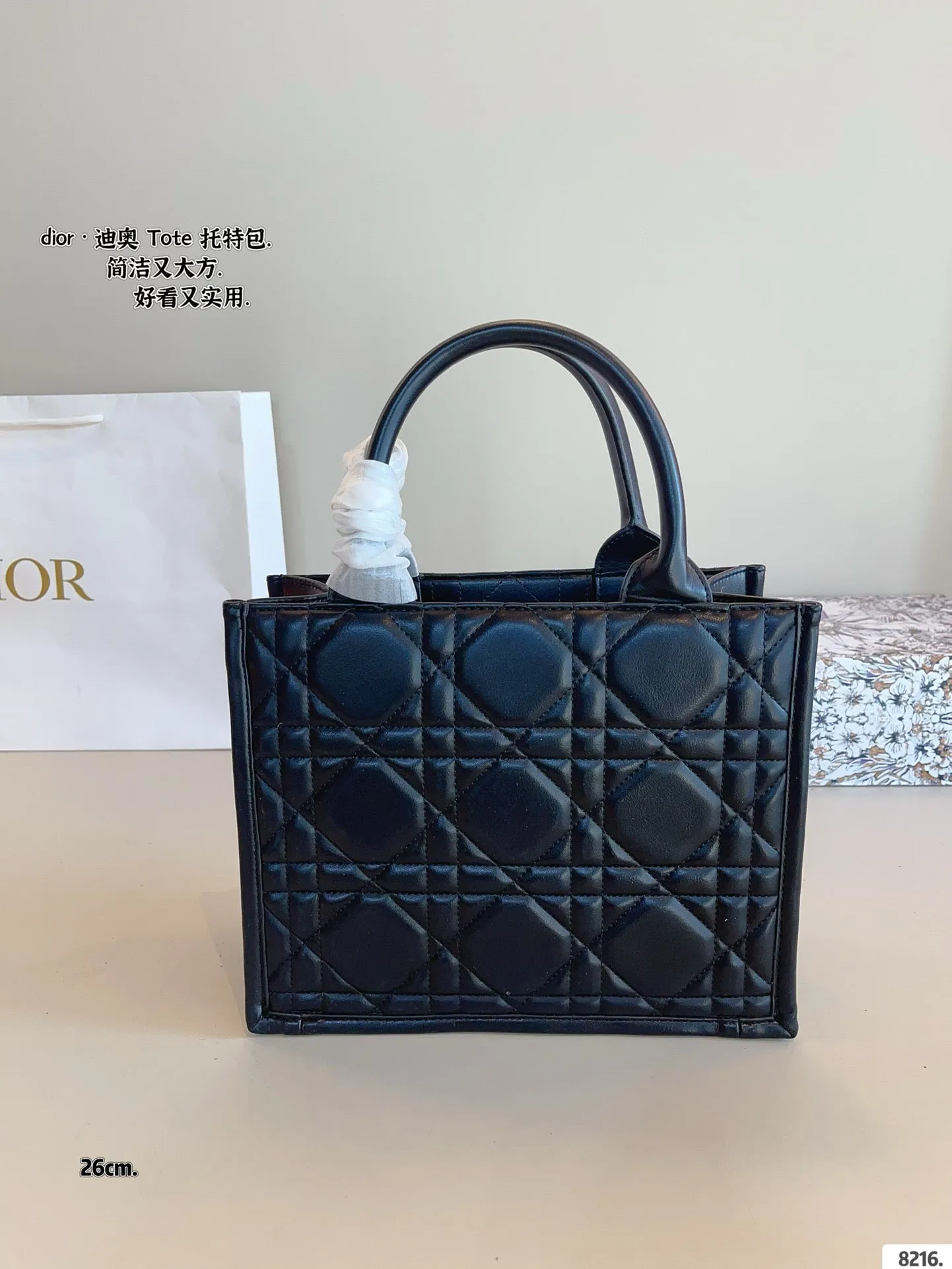 DR496 Small/Medium Dior Book Tote
