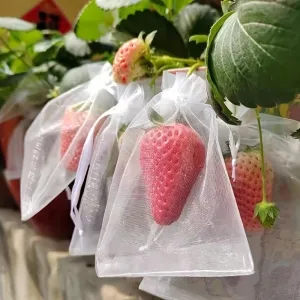 Fruit  Exclusion Protection Bags