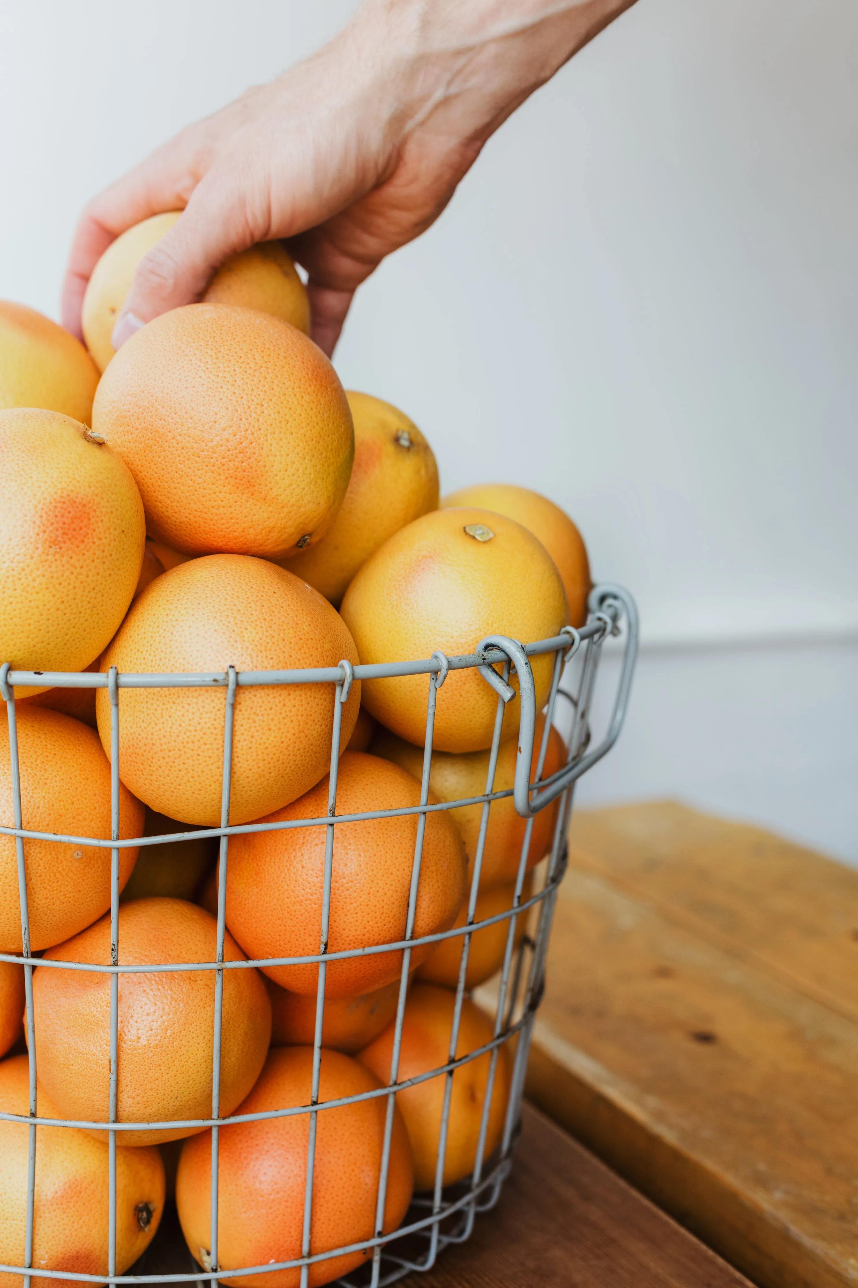 Fruit  Exclusion Protection Bags