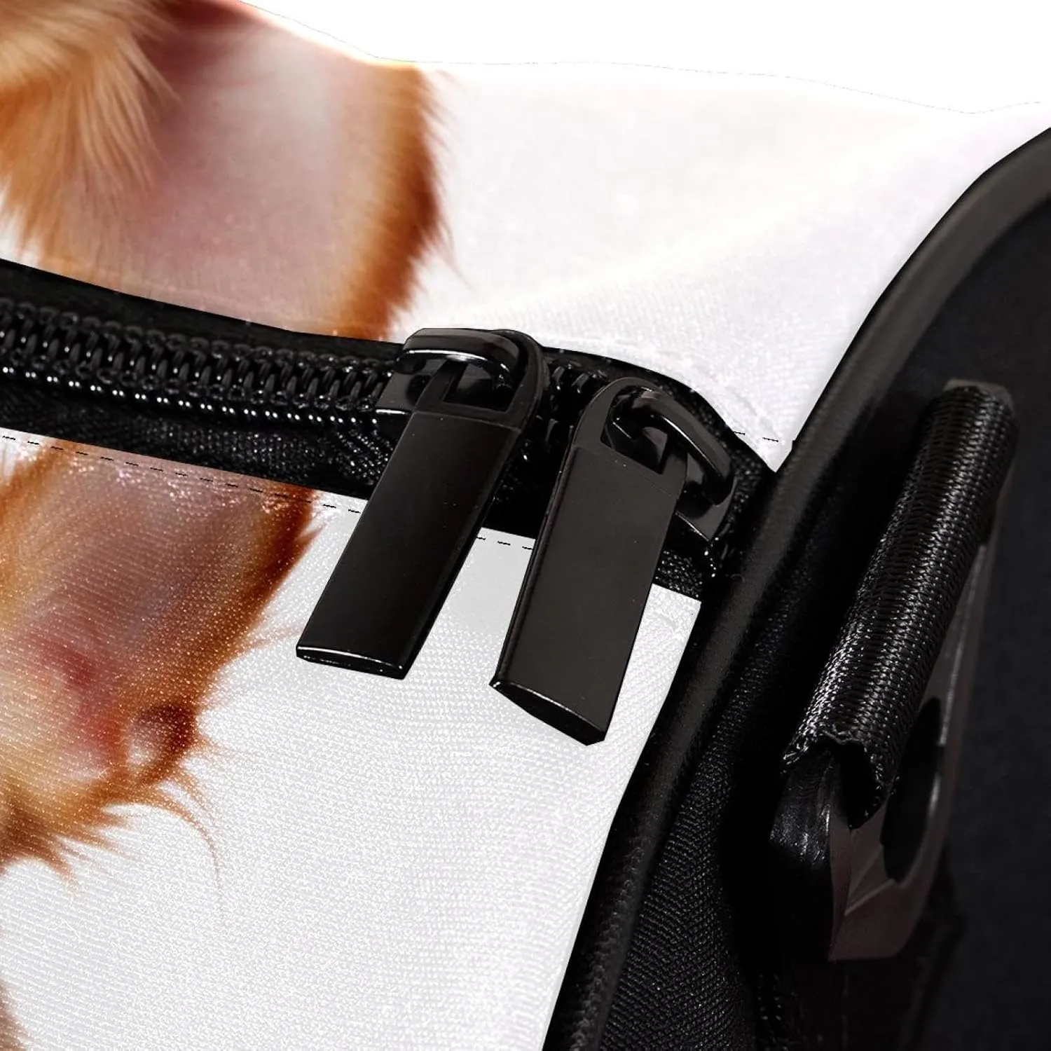 Gym Bags for Men,Travel Duffel Bags for Women,Chihuahua Dog and Rose,Workout Bag