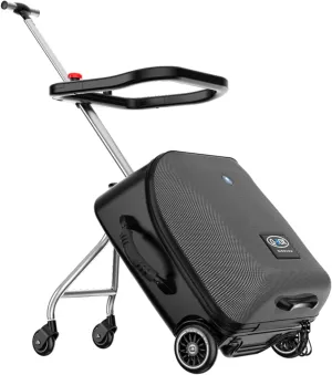 LemoHome Expandable Luggage with Spinner Wheels,Large Suitcases with Child Seat Design,Hard Luggage for Women and Men,20 inch Hardside Carry on Luggage for Travel