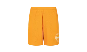 Mesh Gym Shorts "Orange"