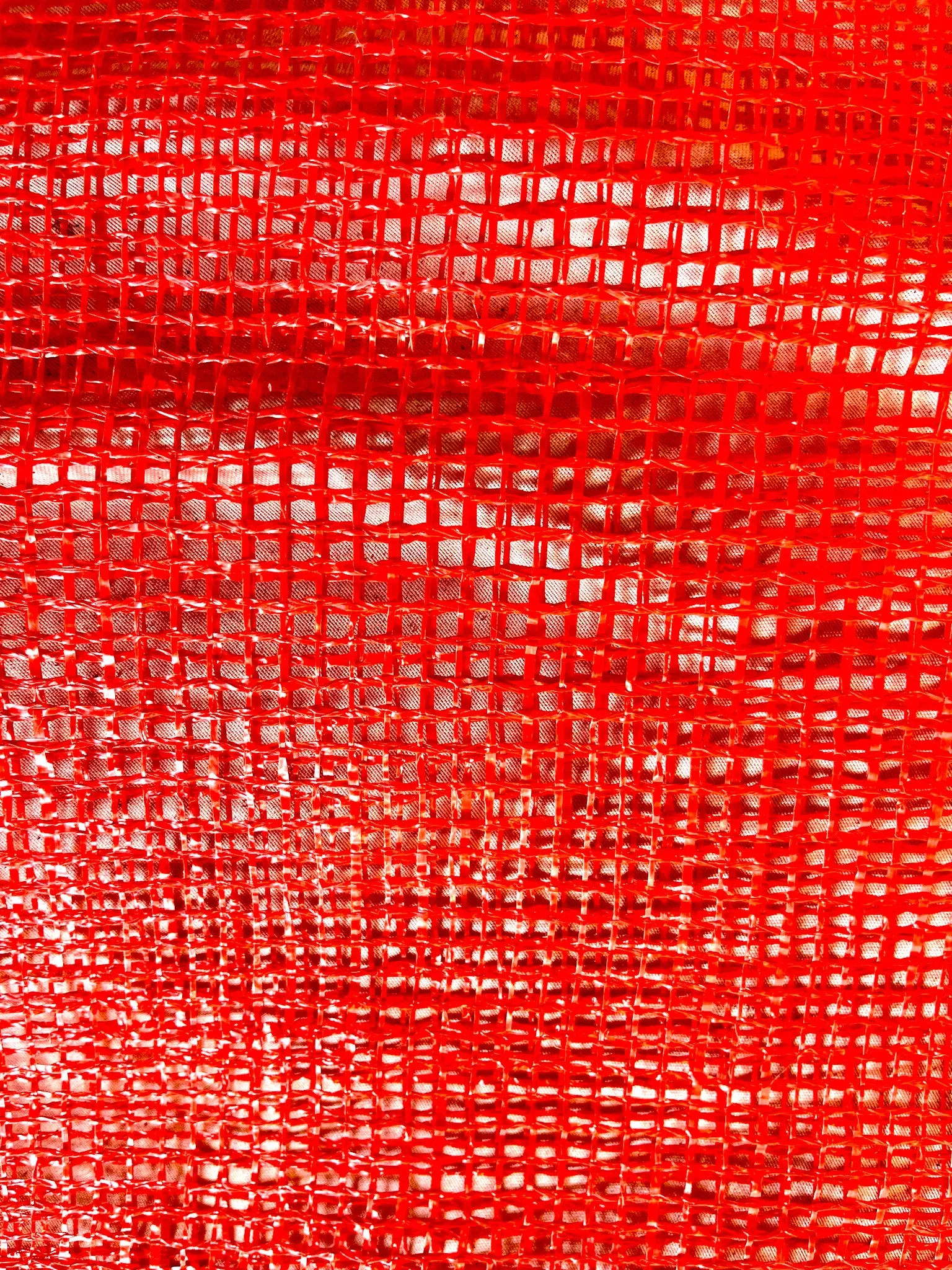 Mesh Produce Bags