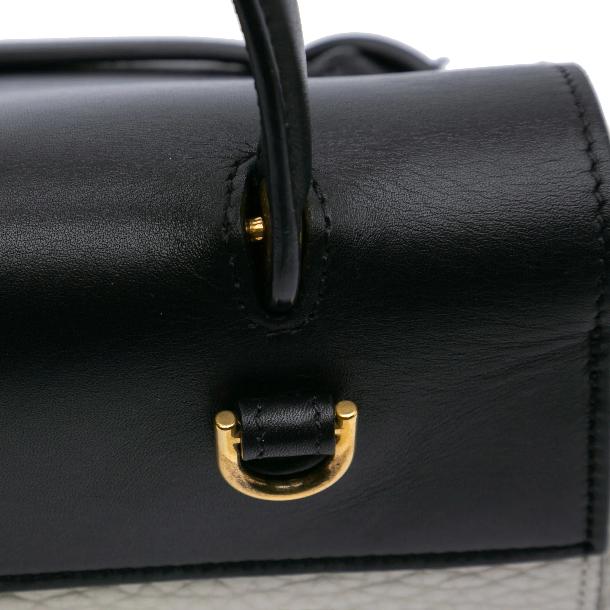 Mini Bicolor Leather Belt Satchel