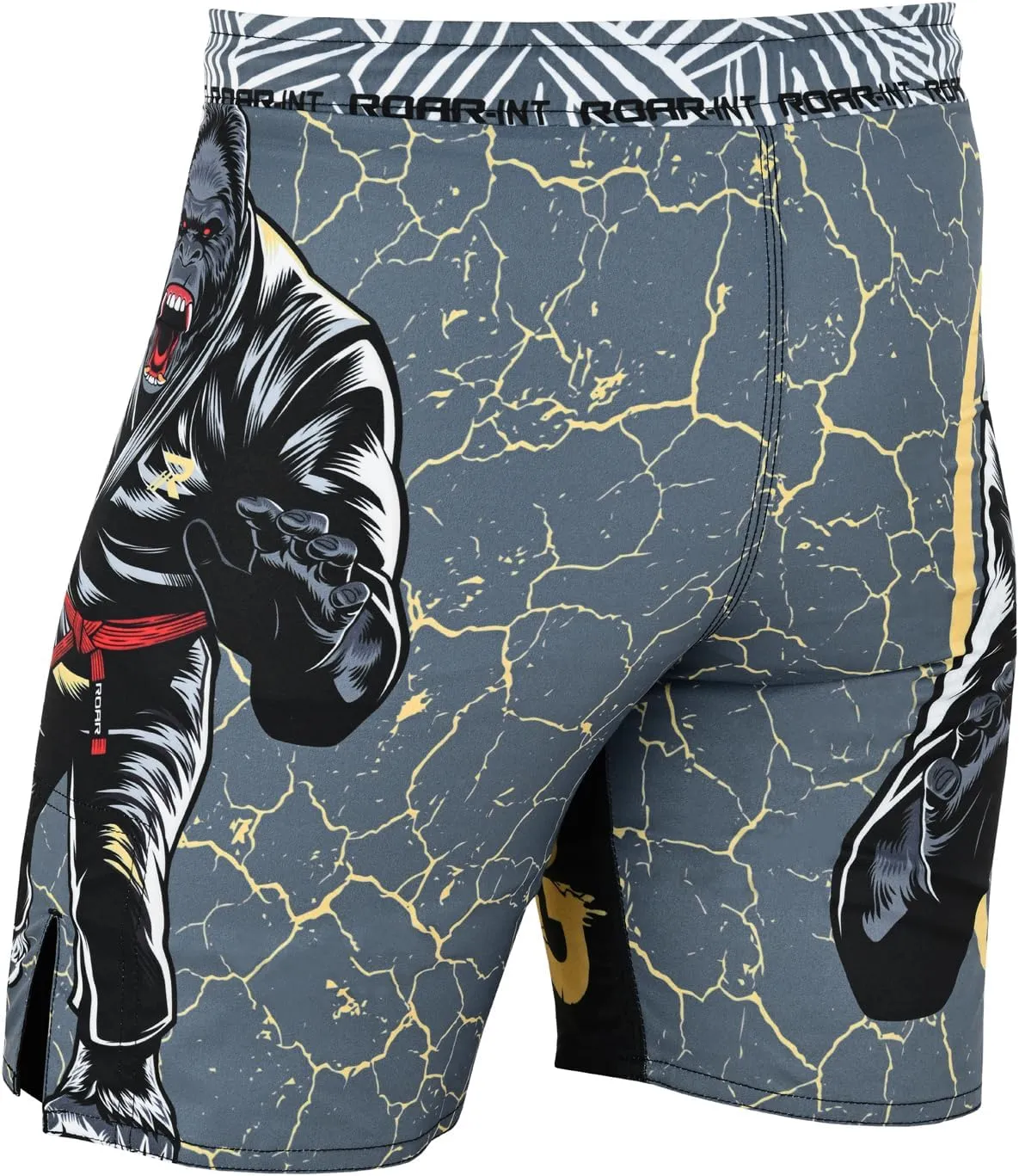 ROAR-INT Kids Mixed Martial Arts MMA Shorts BJJ Cross Training Gym Boxing Grappling Kickboxing Muay Thai Workout Shorts