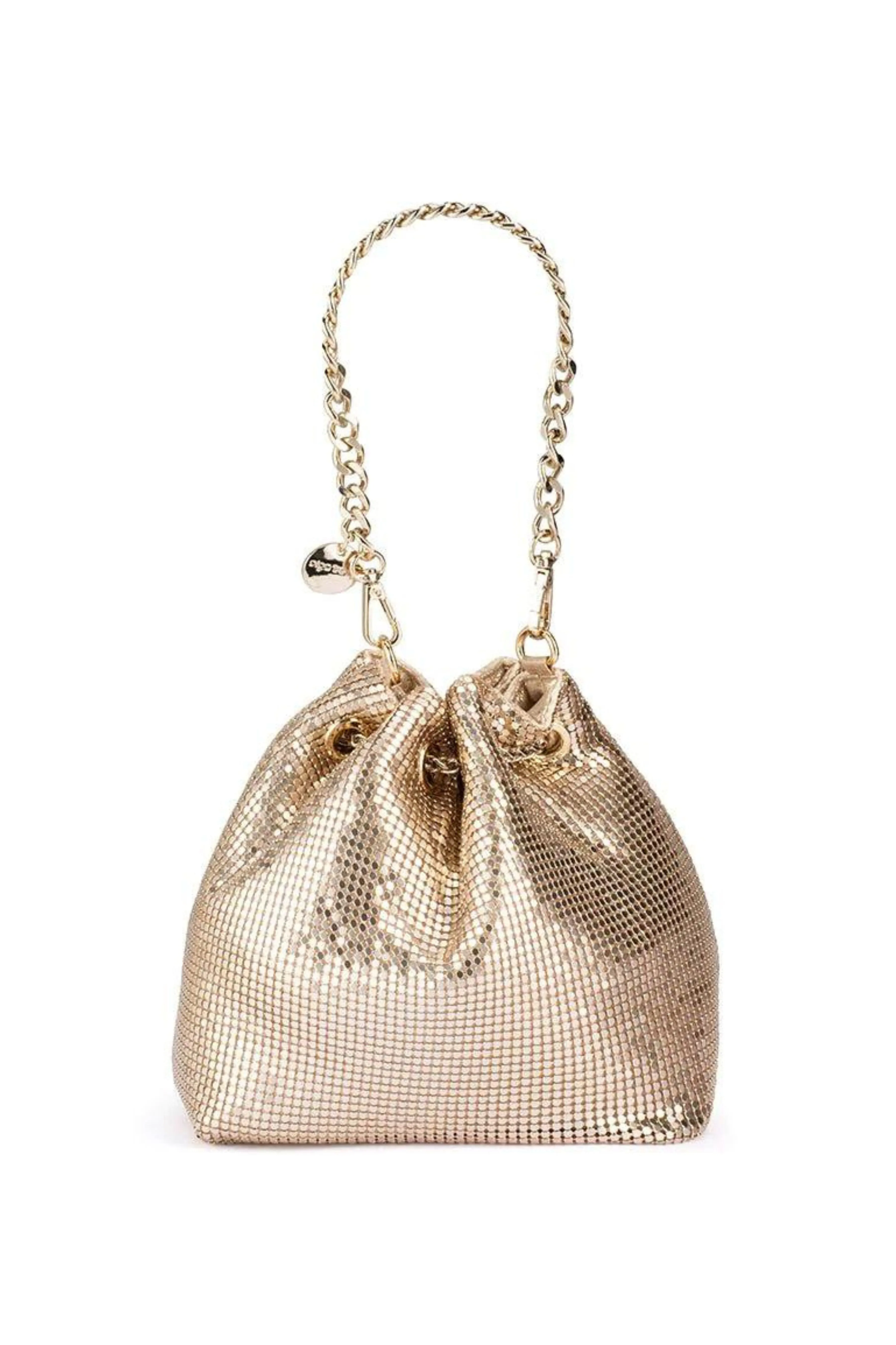 Sylvia Mesh Pouch Bag - Gold